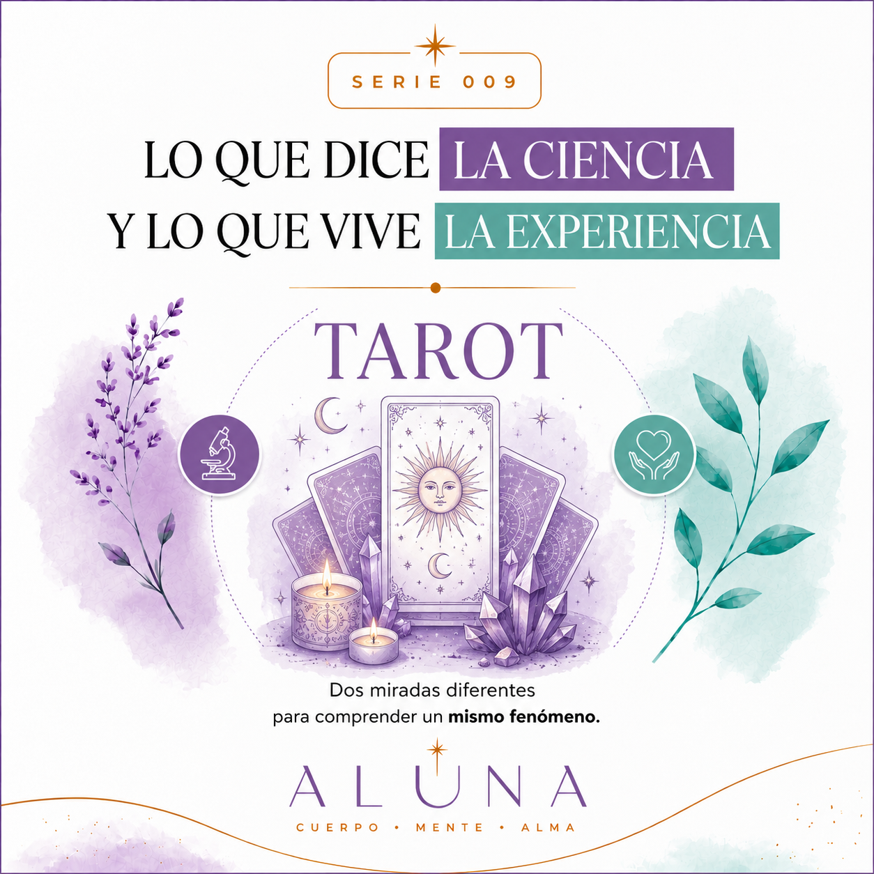 Portada de otra serie de ALUNA